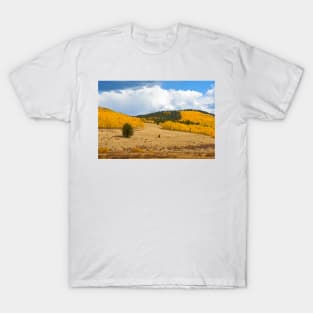 Kenosha Pass Study 7 T-Shirt